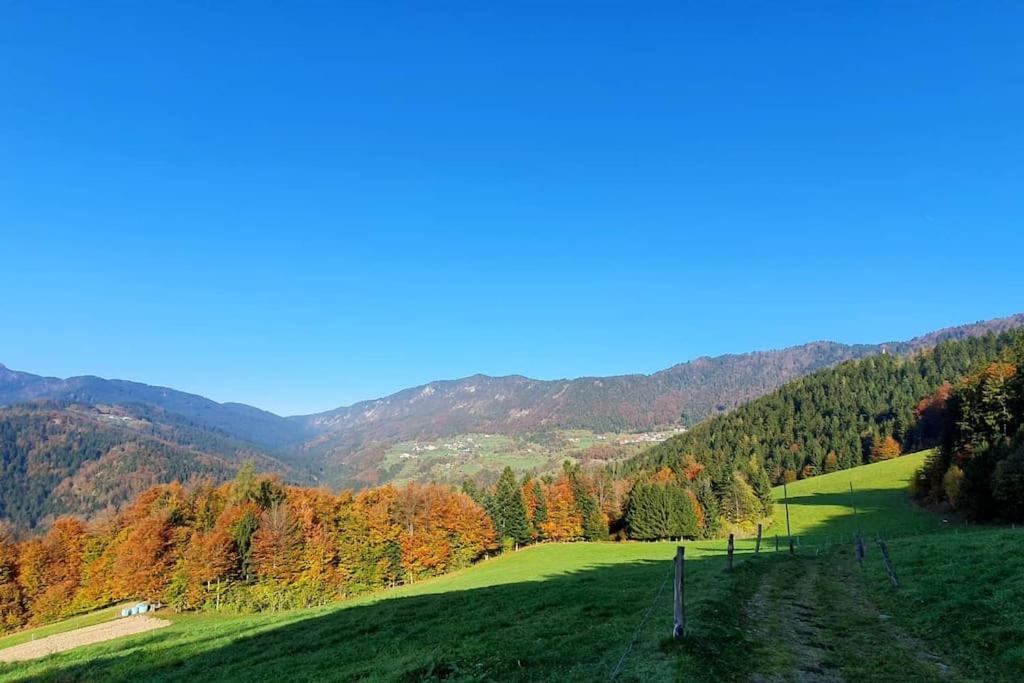 Vila House Pucnk-Beautiful Countryside Zelezniki Exteriér fotografie