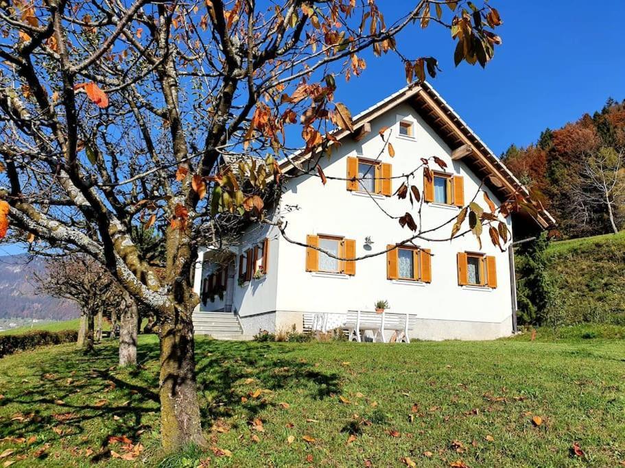 Vila House Pucnk-Beautiful Countryside Zelezniki Exteriér fotografie